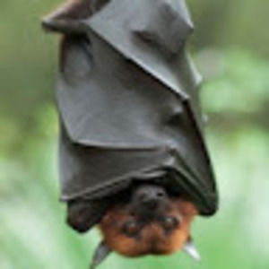 Meet your Posher, Aurora